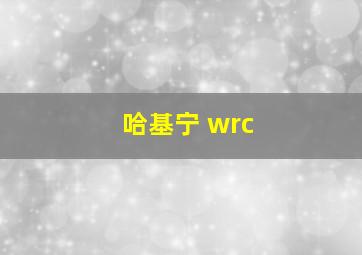 哈基宁 wrc